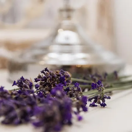 Апартаменты The French Boudoir Эперне